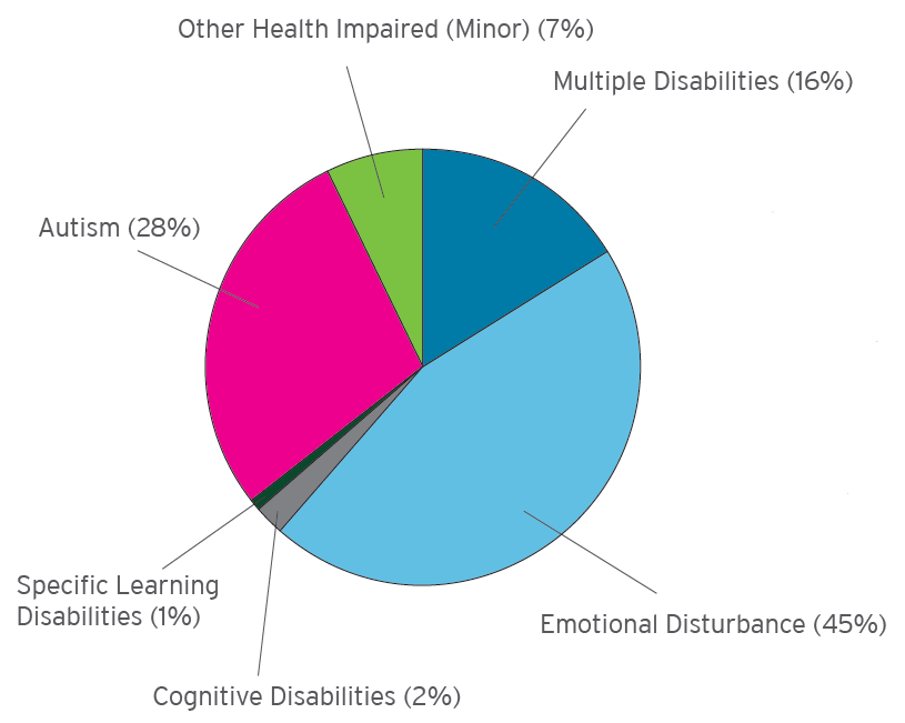 Emotional Disturbance: 45%. Autism: 28%. Multiple Disabilities: 16%. Other Health Impaired (Minor): 7%. Cognitive Disabilities: 2%. Specific Learning Disabilities: 1%.