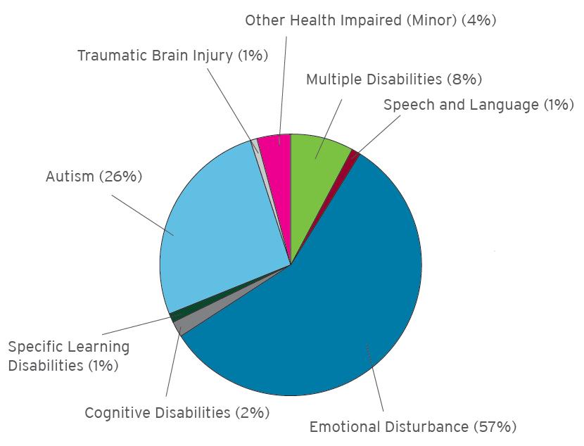 Emotional Disturbance: 57%. Autism: 26%. Multiple Disabilities: 8%. Other Health Impaired (Minor): 4%. Cognitive Disabilities: 2%. Specific Learning Disabilities: 1%. Speech and Language: 1%. Traumatic Brain Injury: 1%.